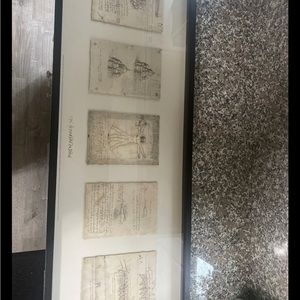 IKEA Olunda Leonardo Se Vinci Drawing 41” 15” 3/4”